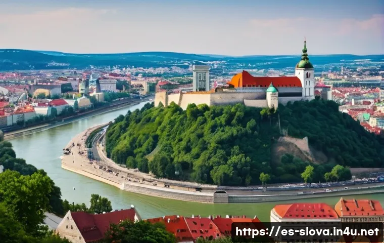 슬로바키아 헝가리 지배 시기 - **Prompt:** "A grand panoramic view of 17th-century Bratislava (then known as Pozsony or Pressburg) ...